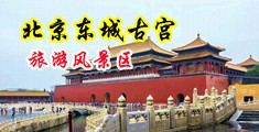 操逼黄片那个骚货操逼中国北京-东城古宫旅游风景区